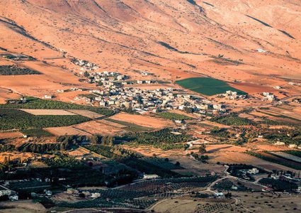 دغلس: وجود ترامب فرصة ذهبية لنتنياهو