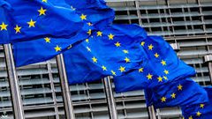 د.عبير الحيالي:هناك عقبات أمام خطورة أوروبية موحدة ضد الاحتلال