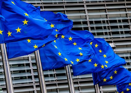 منصور :الاتحاد الاوروبي عاجز عن اتخاذ قرار جماعي ضد مخطط الضم