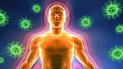 في زمن كورونا.. أفضل الأطعمة لزيادة مناعة الجسم