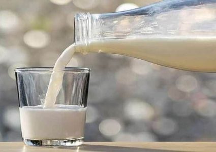 دراسة: الحليب غير المبستر يسبب إنتشار البكتيريا في جسم الانسان