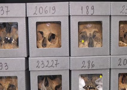 الجزائر تسترجع من فرنسا رفات قادة المقاومة الشعبية