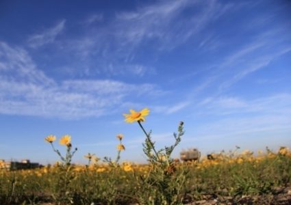 طقس  فلسطين: أجواء حارة و انخفاض طفيف على درجات الحرارة