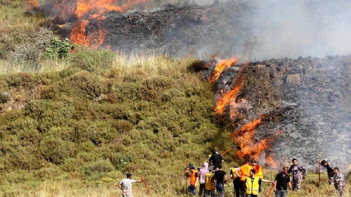 مستوطنون يضرمون النار بأشجار الزيتون في حوارة