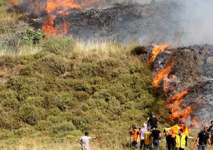 مستوطنون يضرمون النار بأشجار الزيتون في حوارة