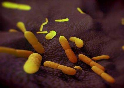 الصين تتخذ إجراءات مشددة بعد تسجيل إصابة بالطاعون الدملي