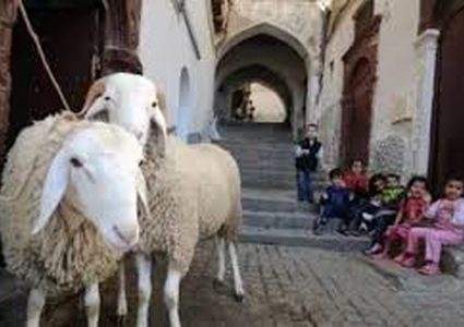 فلكياً...الجمعية الفلكية الفلسطينية تعلن موعد عيد الأضحى