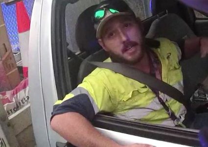 أستراليا.. أفعى شديدة السمية تحاول قتل سائق على الطريق السريع