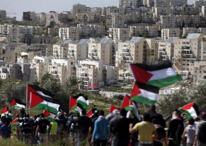 ابو النجا : القيادة الفلسطينية أول من رفضت خطة الضم