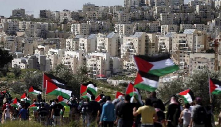 ابو النجا : القيادة الفلسطينية أول من رفضت خطة الضم