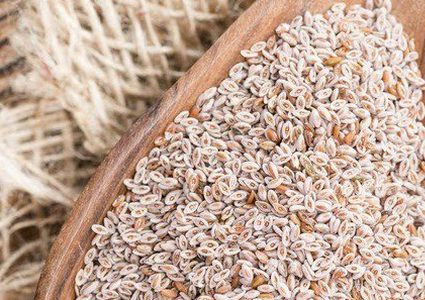 ما هو أفضل مكمل غذائي لفقدان الوزن الزائد ؟