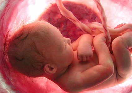 دراسة: فيروس كورونا يمكن أن ينتقل من الأم إلى جنينها