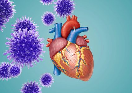 دراسة: أكثر من نصف مرضى كورونا يعانون من تلف عضلة القلب