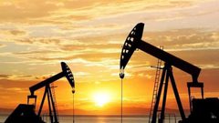 توقعات بهبوط إنتاج النفط الصخري الأمريكي