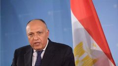 شكري: الحل السياسي في ليبيا لن يتحقق دون وقف التدخلات