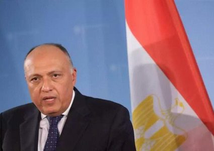 شكري: الحل السياسي في ليبيا لن يتحقق دون وقف التدخلات