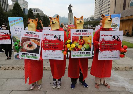 بدء موسم تناول لحوم الكلاب وشرب حسائها في كوريا الجنوبية