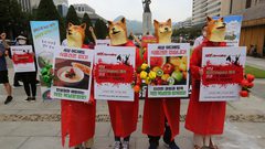 بدء موسم تناول لحوم الكلاب وشرب حسائها في كوريا الجنوبية