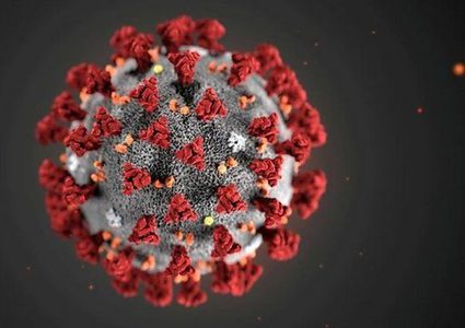 الصفدي: كورونا يؤثر على الجهاز الهضمي ويسبب اضطرابا بوظائف الكبد