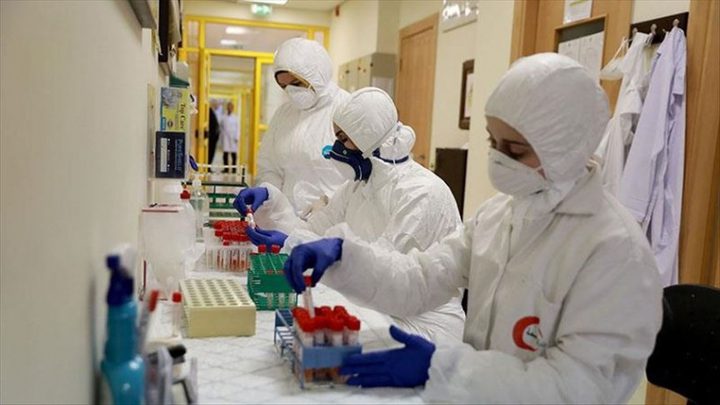 596 إصابة جديدة بكورونا و3 حالات وفاة بفلسطين خلال 24 ساعة