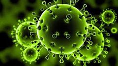 ما هو الإنزيم الذي يستغله كورونا للتسلل إلى جسم المريض ؟
