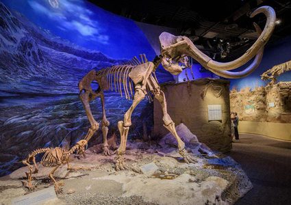 عمره 10000عام.. العثور على هيكل عظمي في بحيرة سيبيرية