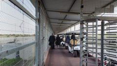 الاحتلال يعتقل مواطنين على حاجزب بيت حانون