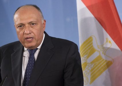 شكري: تعرضنا لاستهداف من منظمات إرهابية وسندافع عن مصالحنا