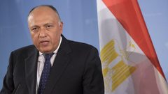 شكري: تعرضنا لاستهداف من منظمات إرهابية وسندافع عن مصالحنا