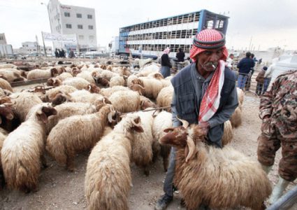 الصحة العالمية تحذر من ارتفاع العدوي بكورونا في موسم الأضاحي