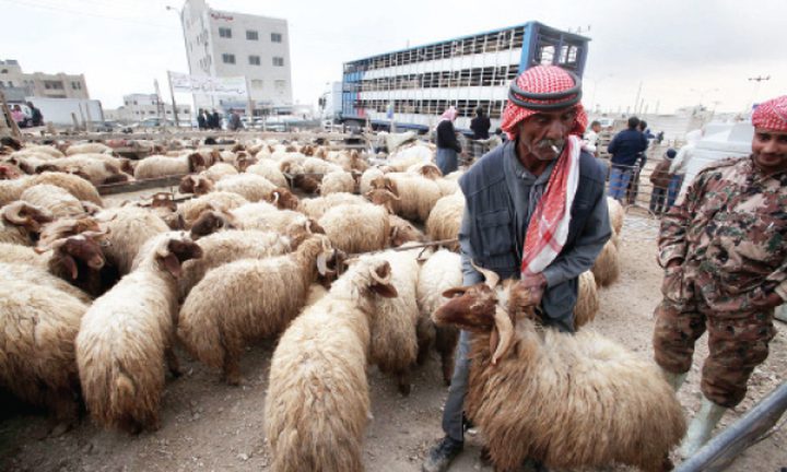 الصحة العالمية تحذر من ارتفاع العدوي بكورونا في موسم الأضاحي