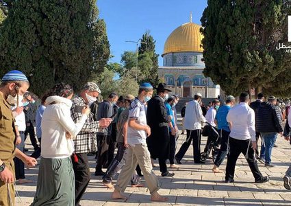 156 مستوطنا يقتحمون باحات الأقصى بحراسة شرطة الاحتلال