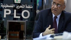 عريقات يوجه رسائل لتوفير الحماية للشعب الفلسطيني وأماكنه المقدسة