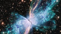 شاهدوا صورة "فراشة الفضاء" السماوية والمذهلة