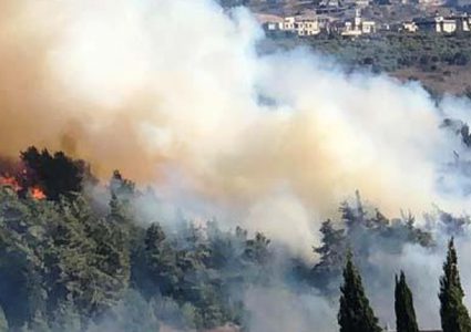 اندلاع حريق في منطقة وادي عارة