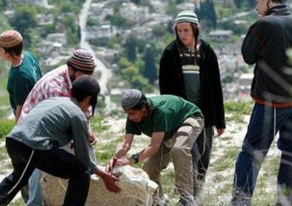 مستوطنون يزرعون أشجارا في خربة إحميّر بالأغوار الشمالية