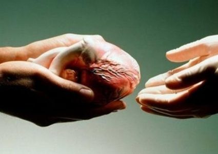 كيف تتم عملية التبرع بأعضاء شخص متوفي ؟