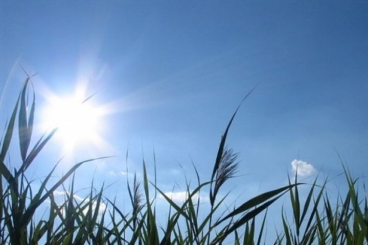 الطقس: انخفاض طفيف آخر على درجات الحرارة