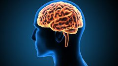 ما هي المكملات التي تعزز صحة الدماغ ؟