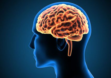 ما هي المكملات التي تعزز صحة الدماغ ؟