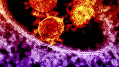 هل تساعد أدوية السرطان والإدمان في علاج كورونا ؟