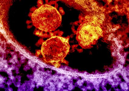 هل تساعد أدوية السرطان والإدمان في علاج كورونا ؟