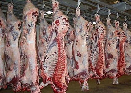 الاقتصاد: سحب عينات من اللحوم المجمدة المستوردة للتأكد من سلامتها