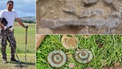 اكتشاف أحد أهم كنوز العصر البرونزي في اسكتلندا