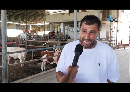 إقبال ضعيف على شراء الأضاحي في غزة رغم إنخفاض أسعارها