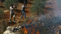 نابلس: مستوطنون يضرمون النار بحقول زراعية