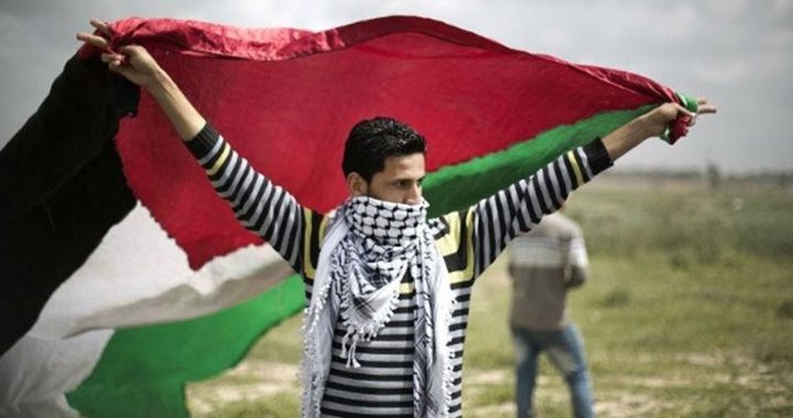 1.14 مليون شاب في فلسطين يشكلون حوالي خمس المجتمع