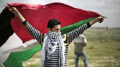 1.14 مليون شاب في فلسطين يشكلون حوالي خمس المجتمع