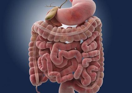 تحذير.. هذه الأعراض تنذر باحتمال الإصابة بسرطان الأمعاء