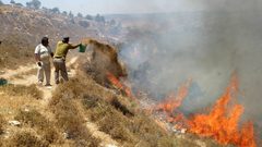 نابلس: مستوطنون يضرمون النار بأراضي عصيرة القبلية